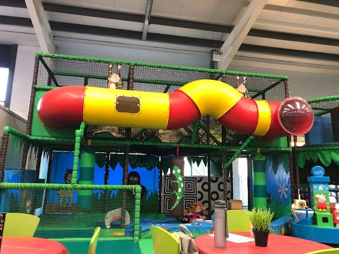 Jungle Adventure Ltd