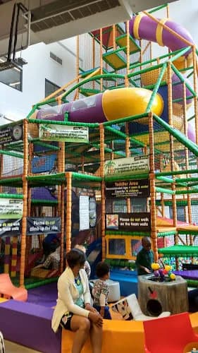 Jolly Jungle