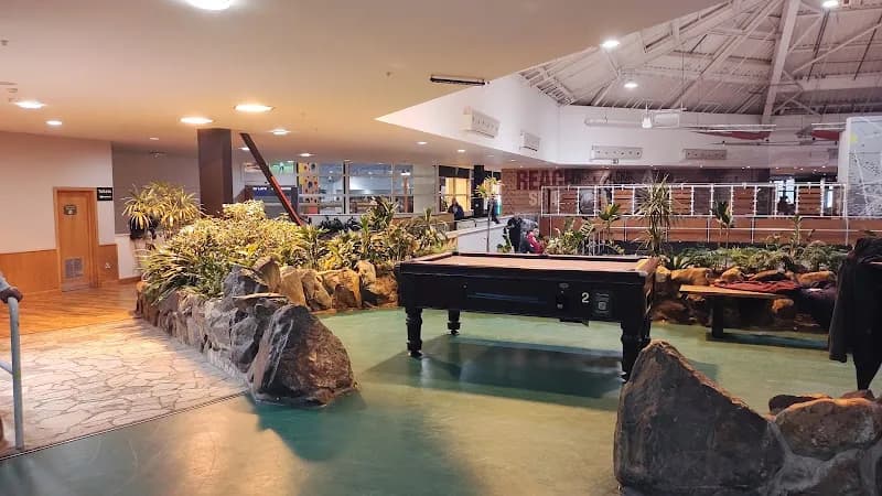 Table Tennis Court