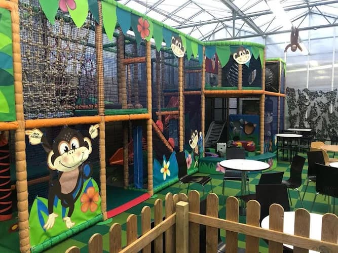 Jungle Run Soft Play