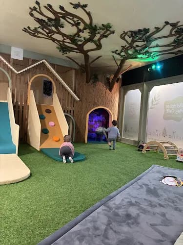 Wild House Play Cafe