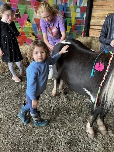 Pony Pals parties