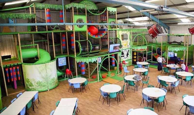Treetops