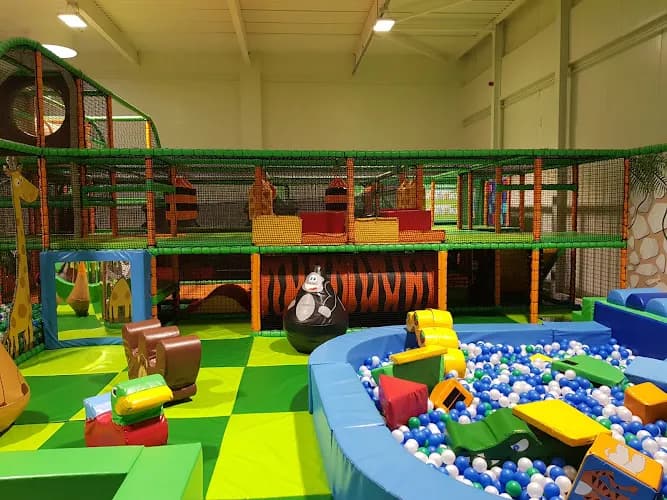 Safari Adventure Soft Play and Party Venue Peterborough
