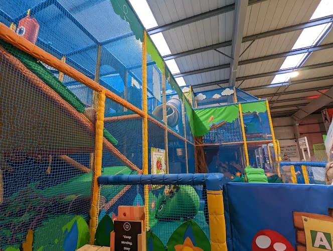 Activity for All, Wirral