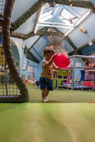 Wild and Free Adventure Playground
