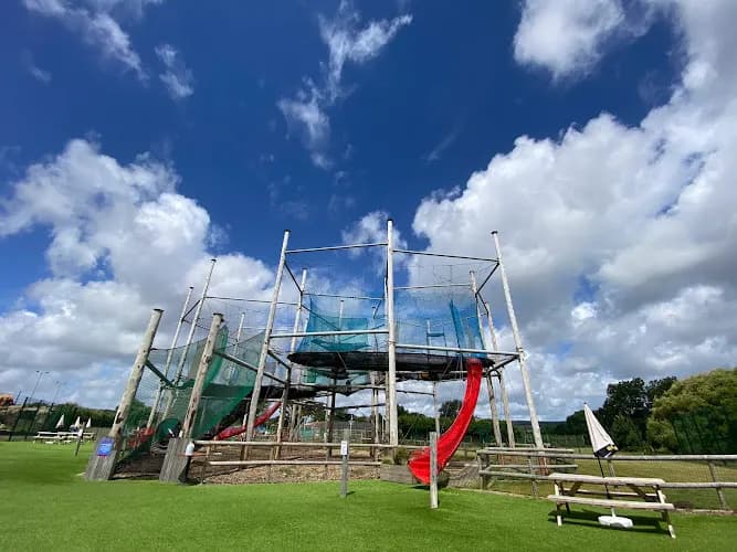 Skynets: The Big Bounce