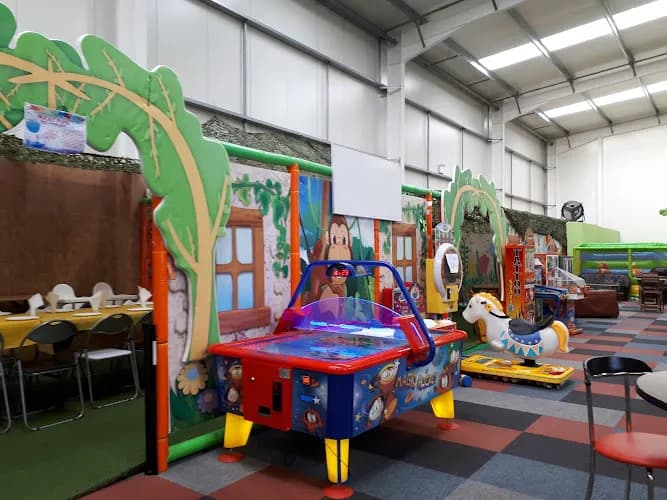 Jazzy Jungle Ltd